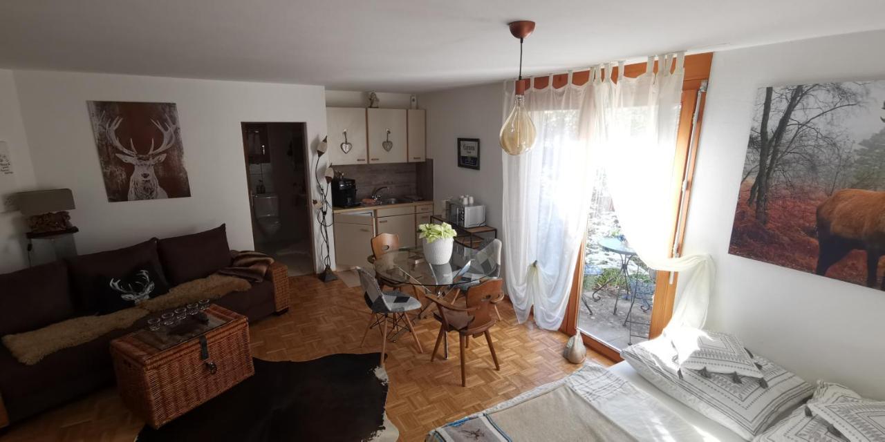 Ferienwohnung Graubunden ボナドゥウ エクステリア 写真